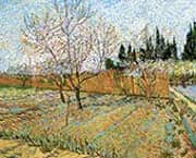 Orchard with Peach Trees in Blossom 1888 By Vincent van Gogh