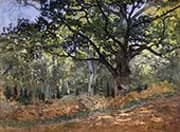 The Bodmer Oak Fountainbleau Forest 1865 By Claude Monet