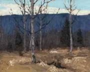 Hillside on Big Cauchon Lake Algonquin Park By Tom Thomson