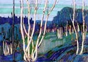 Silver Birches 1915 By Tom Thomson