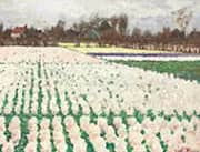 Hyacinth Fields By George Hitchcock