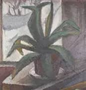 Cactus By Alvar Cawen