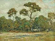 Hawks Nest By Clark Voorhees