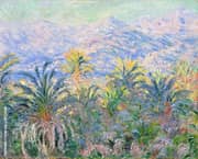 Palm Trees Bordighera 1884 By Claude Monet