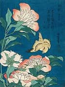 Peonies and Canary By Katsushika Hokusai