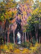 Hanging Moss St Petersburgh By John Ottis Adams