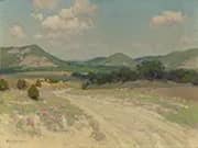 Adobe Road & Wild Quinine Williams Ranch Medina By Julian Onderdonk