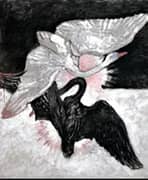 The Swan No 2 By Hilma AF Klint