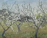 Spring in The Orchard By Elioth Gruner