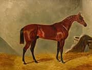 Bay Middleton By John Frederick Snr Herring