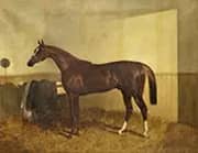 Pyrrhus The First By John Frederick Snr Herring