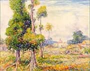 Mango Trees Rio Piedras 1921 By Reynolds Beal