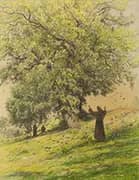 St Francis Preaches to The Birds By Eugene Burnand