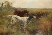 An English and an Irish Setter in a Landscape By Thomas Blinks
