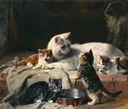 Cat Family Time By Julius Adam