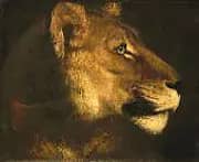 Head of a Lioness By Theodore Gericault