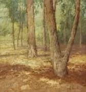 In the Eucalyptus Grove By Maurice Braun