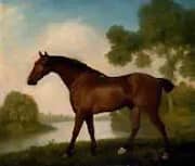 Truss A Hunter By George Stubbs