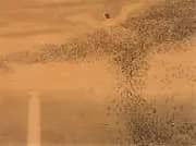 Mirage 1888 By Theodor Kittelsen