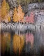 The Aspen Bleeds 1905 By Theodor Kittelsen