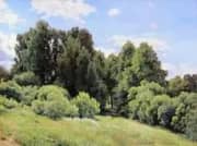 Lesnaya Polyana a Clearing By Ivan Shishkin