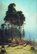 Pine Forest 1894 By Ivan Shishkin