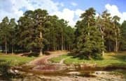 Pine Forest 1895 By Ivan Shishkin