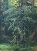 Spruce By Ivan Shishkin