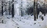 Winter 1890 By Ivan Shishkin