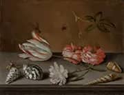 A Tulip Carnation Roses with Shells and Insects on a Ledge By Balthasar van der Ast