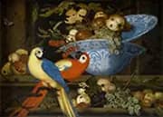 Fruit Still Life with Two Parrots By Balthasar van der Ast