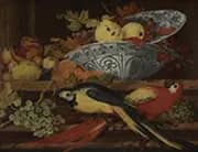 Still Life with Fruit and Macaws By Balthasar van der Ast