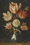 Still Life of Variegated Tulips in a Ceramic Vase By Balthasar van der Ast