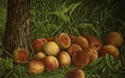 Peaches 1884 By Levi Wells Prentice