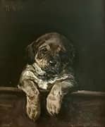 A Puppy By Niels Pedersen Mols