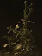 Thistle with Various Animals By Willem van Aelst