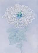 Chrysanthemum 1908 2 By Piet Mondrian