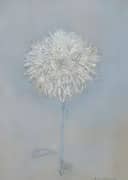 Chrysanthemum 1908 By Piet Mondrian