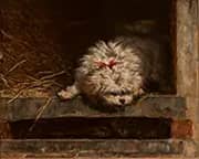 Dog with Cat By Henriette Ronner Knip