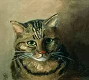 A Head Study of a Tabby Cat By Louis Wain