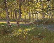 A Sunlit Wood By Frederick Hall