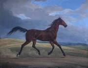 Horse 1825 By Albrecht Adam