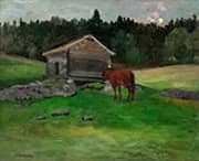 Resting Horse Evening Light By Christian Skredsvig