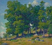 Connecticut Backwoods By Harriet Randall Lumis