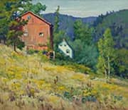 Wastefield By Harriet Randall Lumis