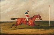 Single Horse and Jockey By Henry Alken