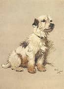 Terrier Dog 1928 By Cecil Aldin