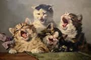 Kitten Symphony 1885 By Julius Adam