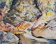 A River in the Smokies By Will Henry Stevens