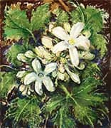 Forest Flowers By Will Henry Stevens